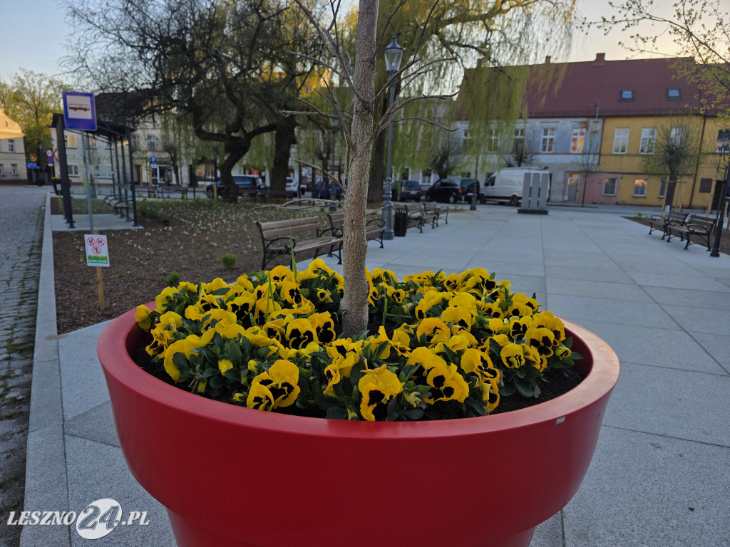 Fontanna na Rynku w Osiecznej
