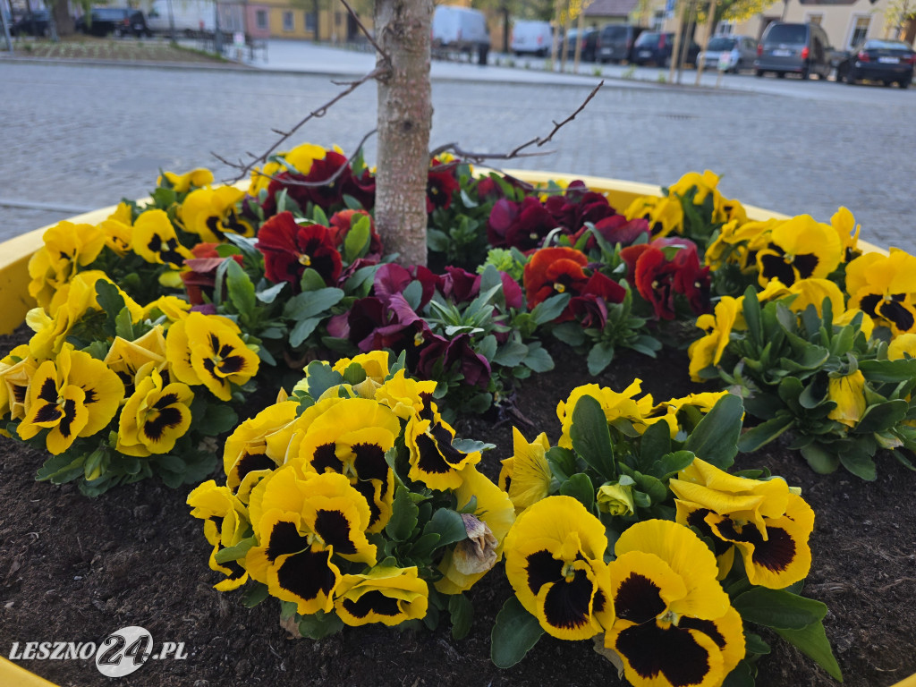 Fontanna na Rynku w Osiecznej