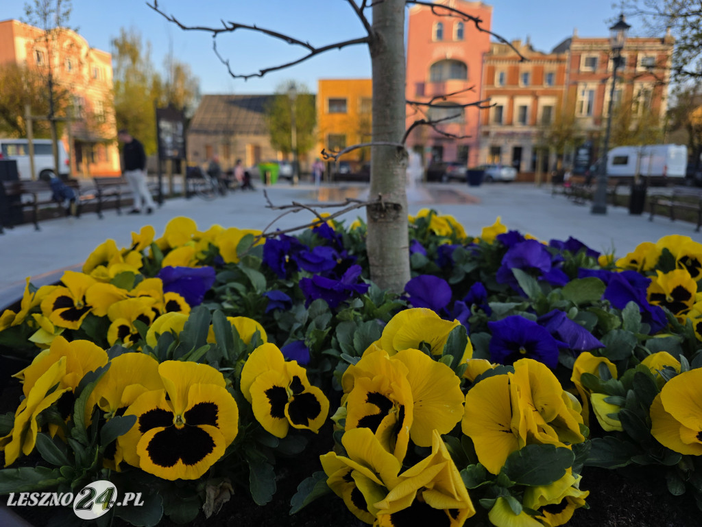 Fontanna na Rynku w Osiecznej