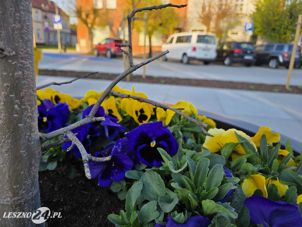 Fontanna na Rynku w Osiecznej