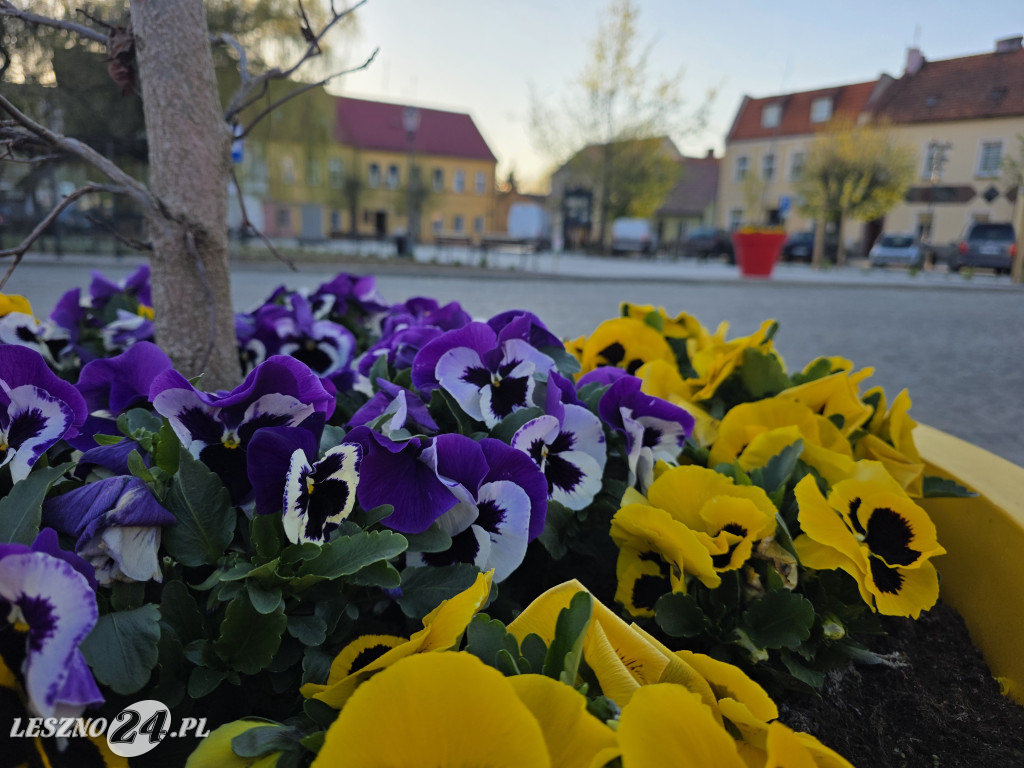Fontanna na Rynku w Osiecznej