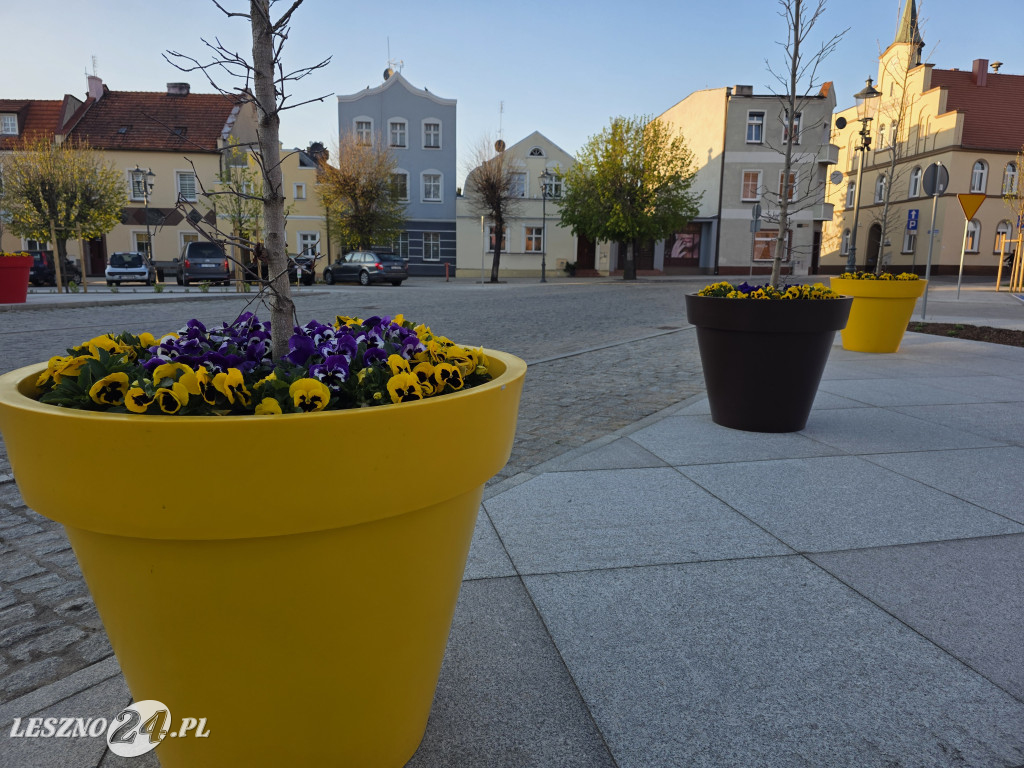 Fontanna na Rynku w Osiecznej
