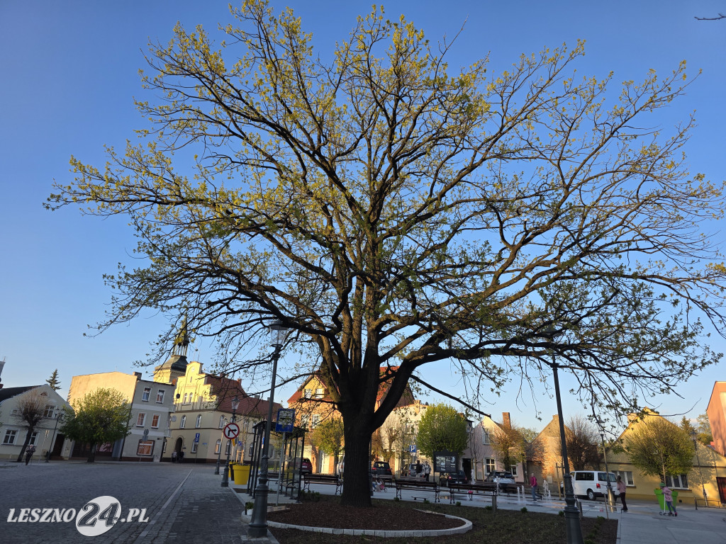 Fontanna na Rynku w Osiecznej