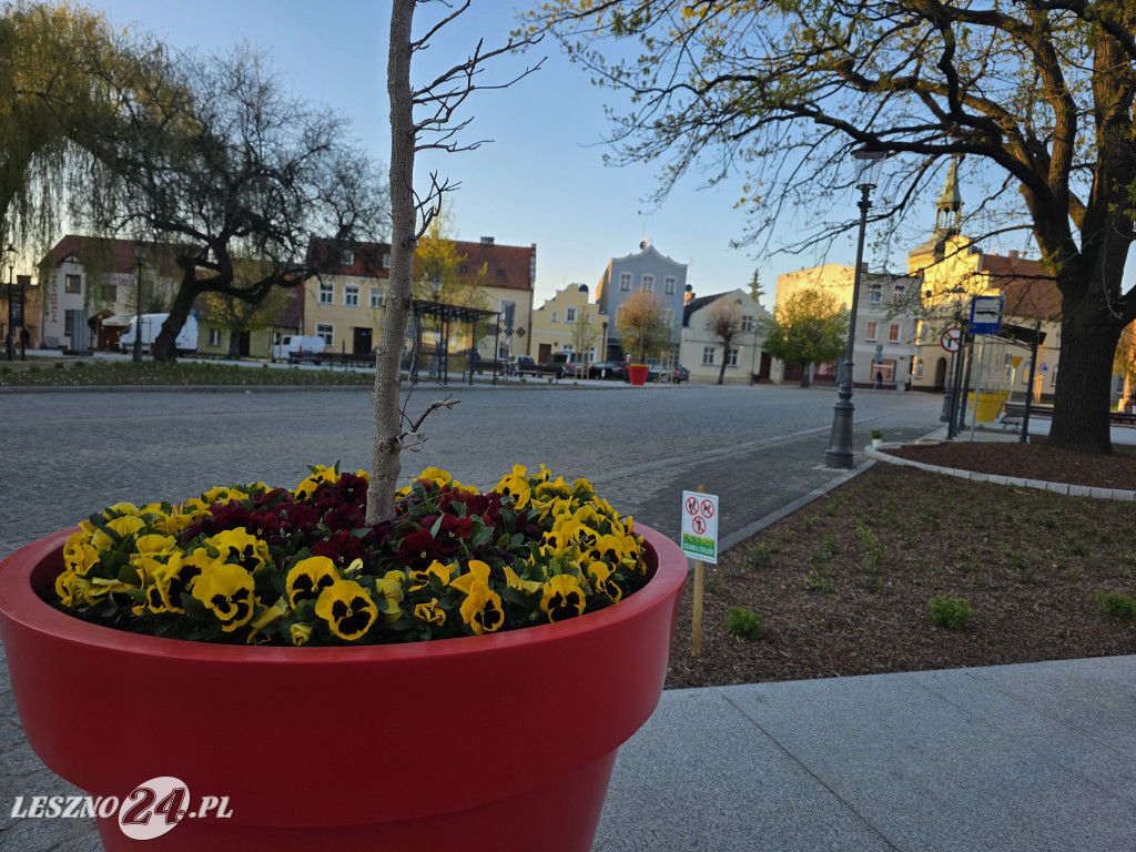 Fontanna na Rynku w Osiecznej