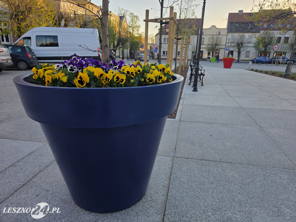 Fontanna na Rynku w Osiecznej
