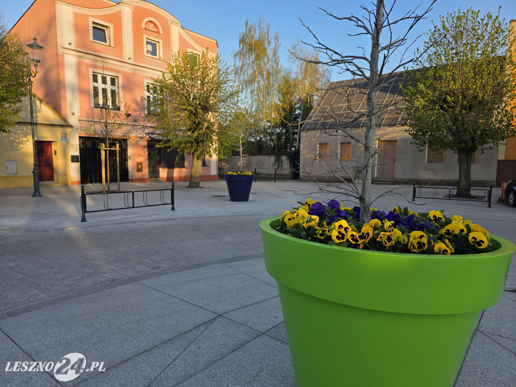Fontanna na Rynku w Osiecznej