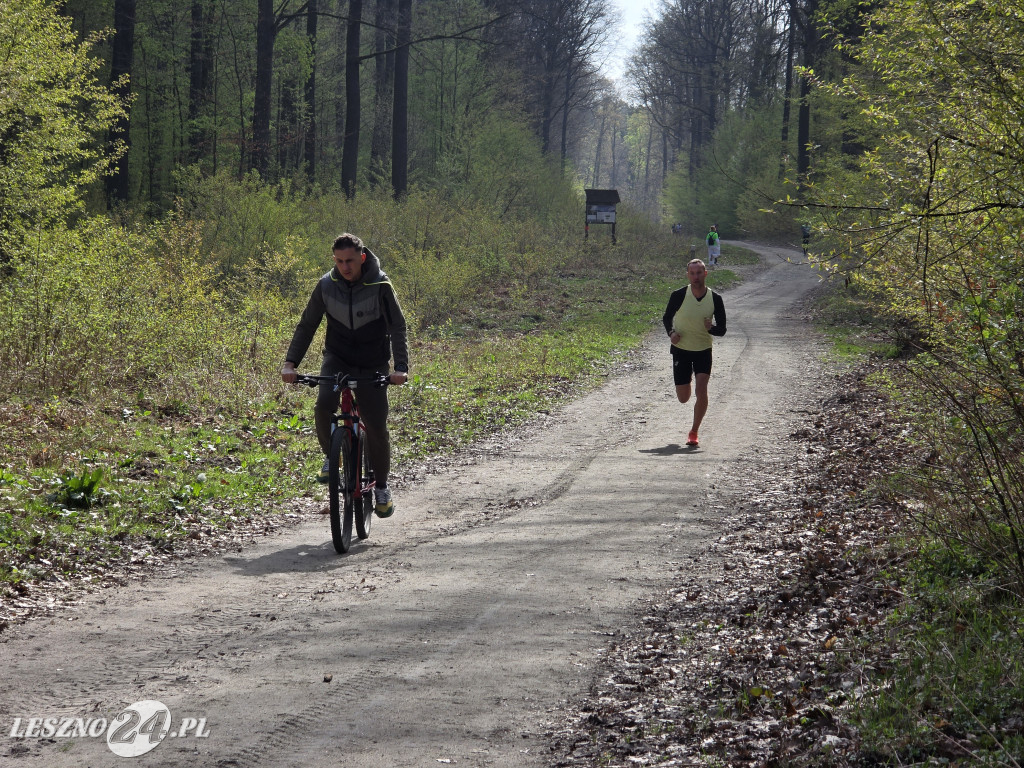 15. Bieg Transplantacja to życie 2026