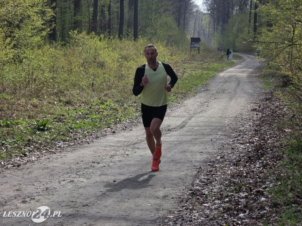 15. Bieg Transplantacja to życie 2026