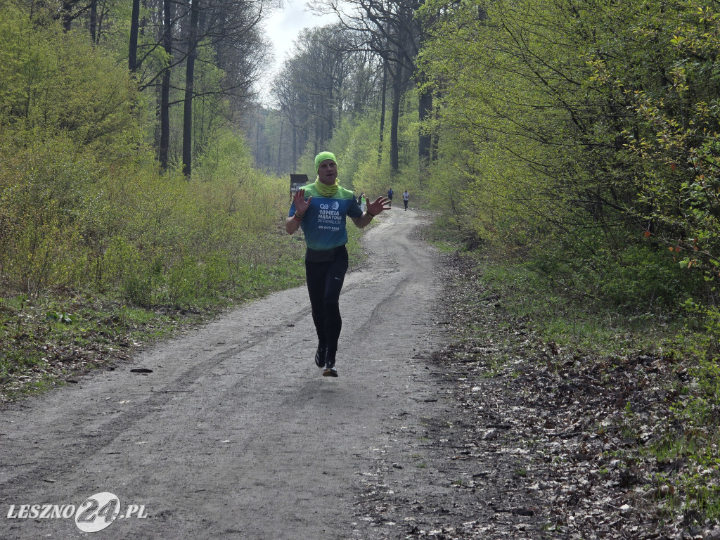 15. Bieg Transplantacja to życie 2026