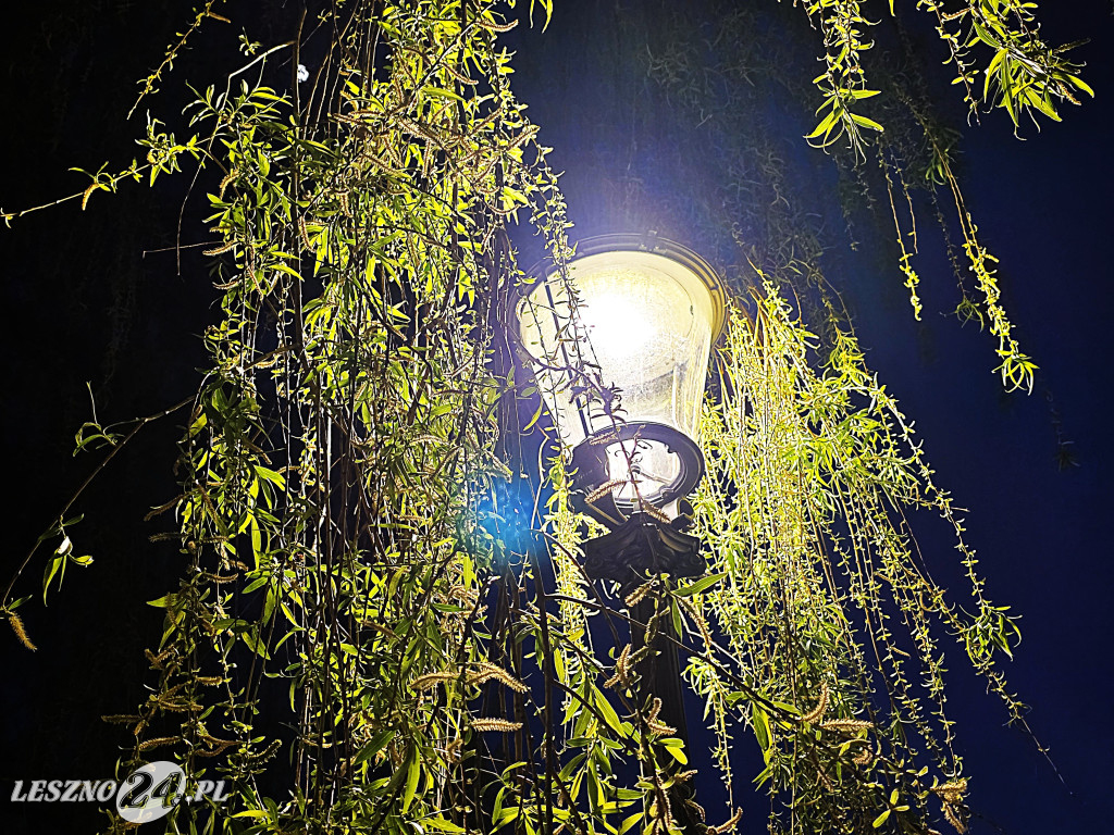 Fontanna na Rynku w Osiecznej