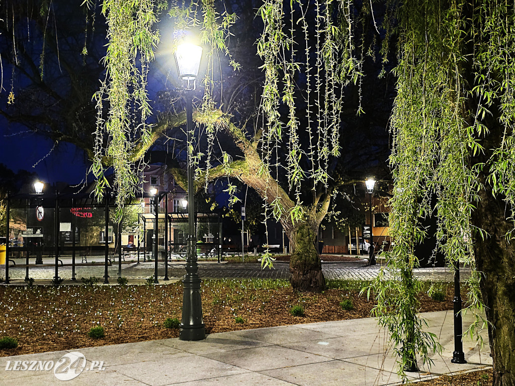 Fontanna na Rynku w Osiecznej