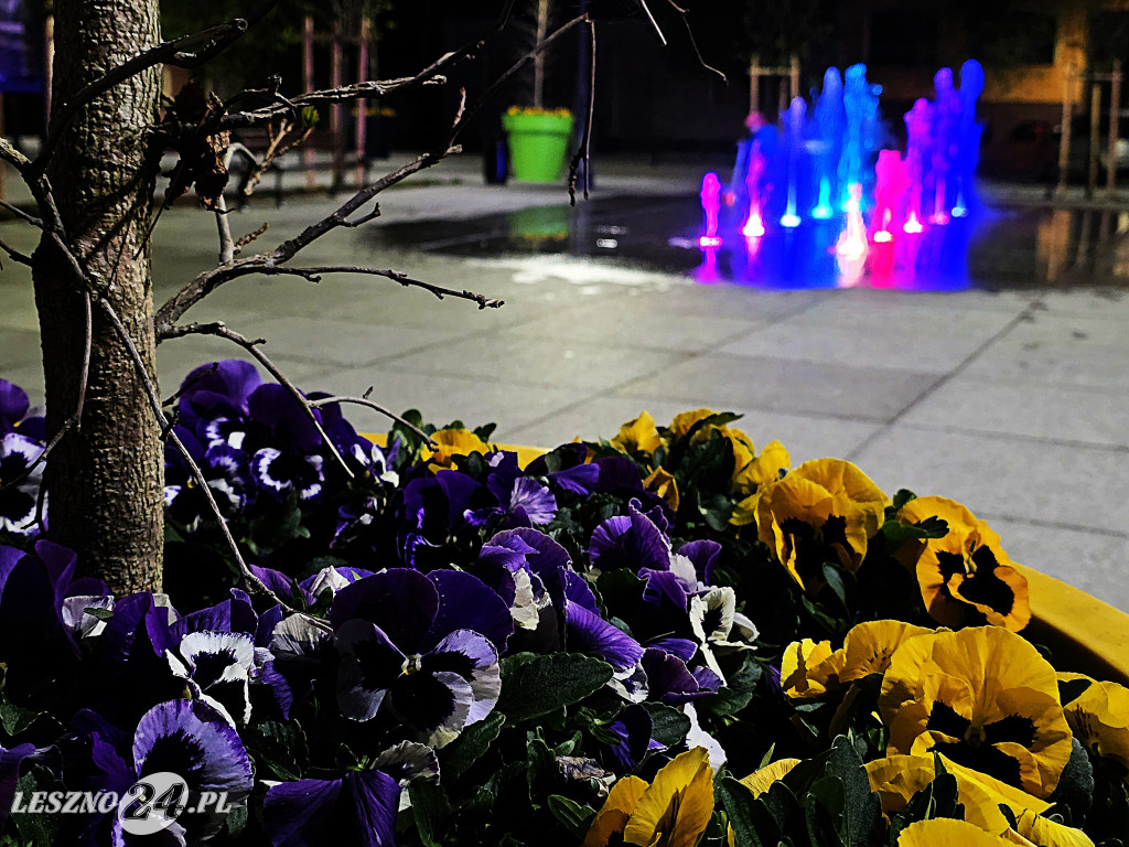 Fontanna na Rynku w Osiecznej