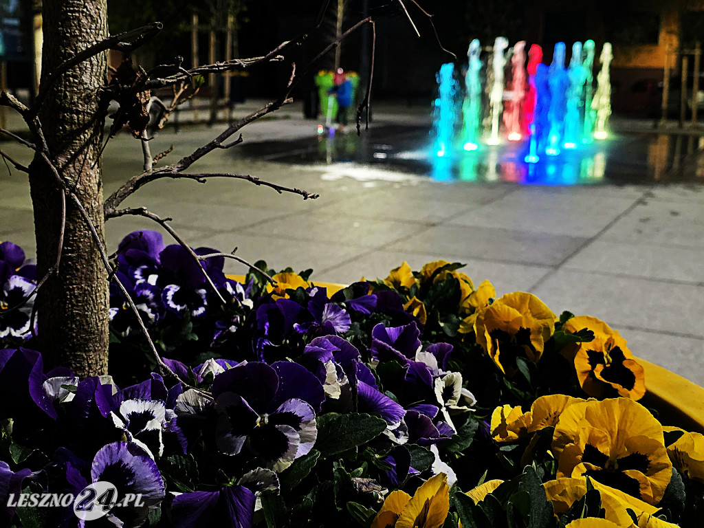 Fontanna na Rynku w Osiecznej