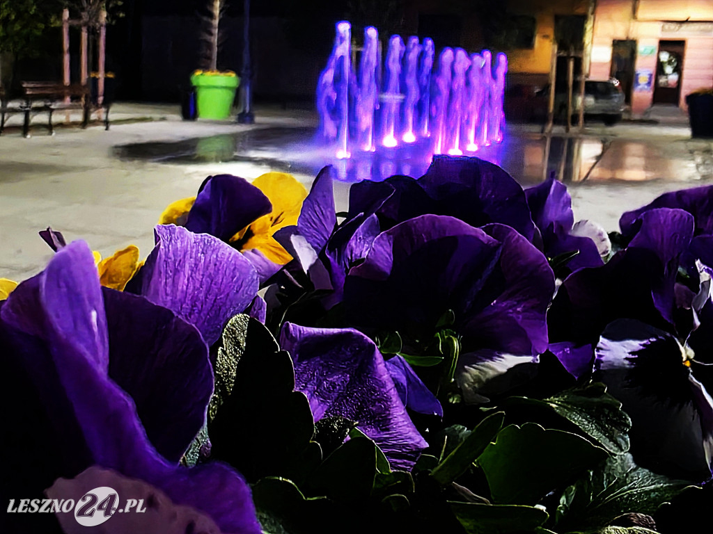 Fontanna na Rynku w Osiecznej