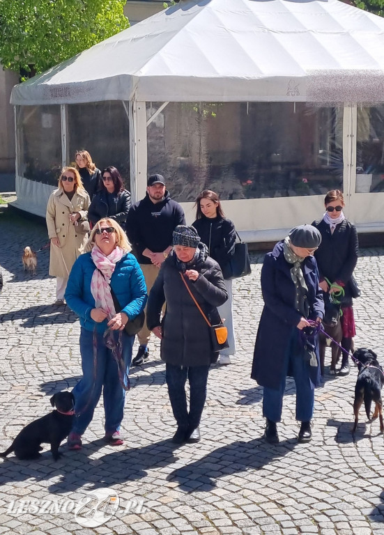 Minuta Ciszy dla Łukasza Litewki