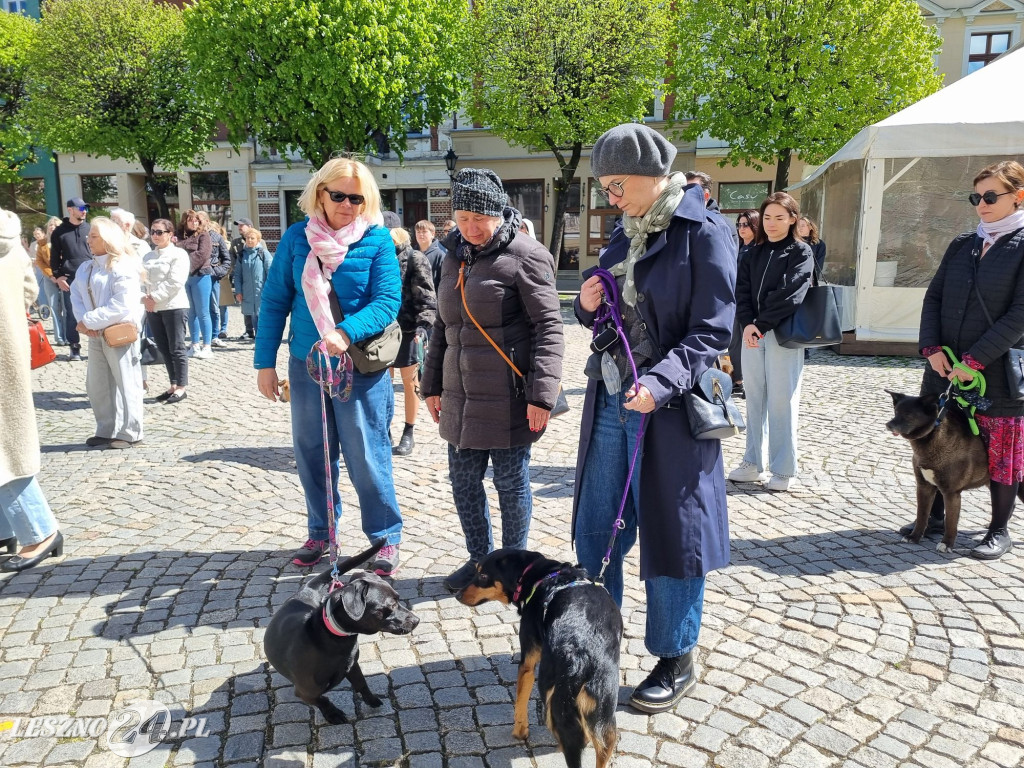 Minuta Ciszy dla Łukasza Litewki