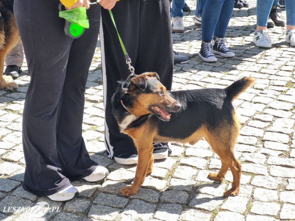 Minuta Ciszy dla Łukasza Litewki