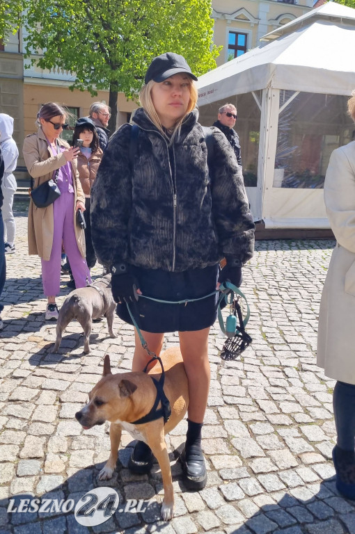 Minuta Ciszy dla Łukasza Litewki