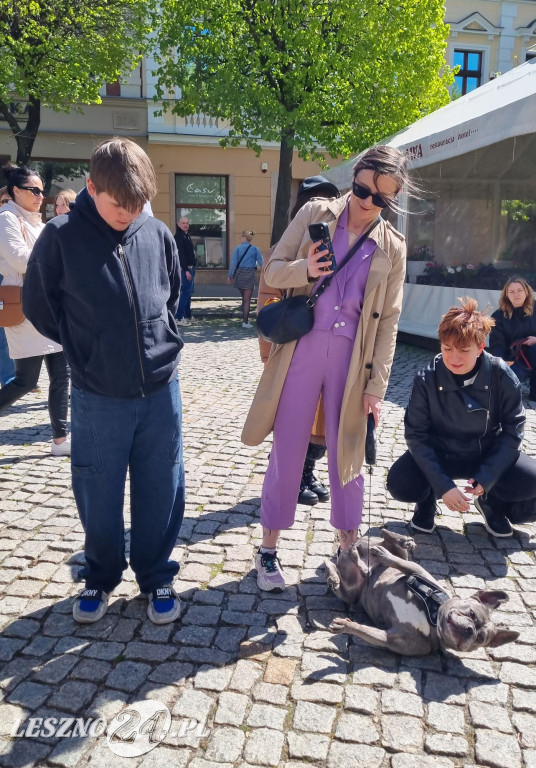 Minuta Ciszy dla Łukasza Litewki