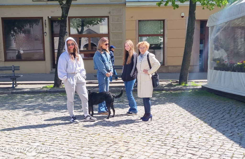 Minuta Ciszy dla Łukasza Litewki