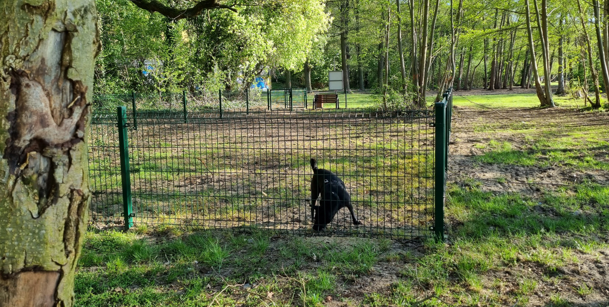 Plaża z wybiegiem dla psów w Boszkowie