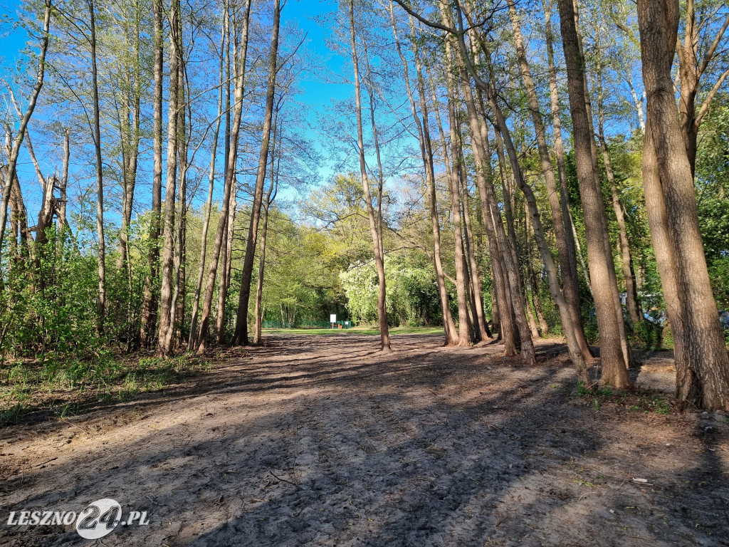 Plaża z wybiegiem dla psów w Boszkowie