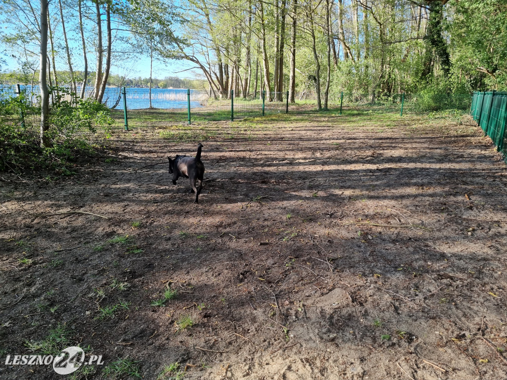 Plaża z wybiegiem dla psów w Boszkowie