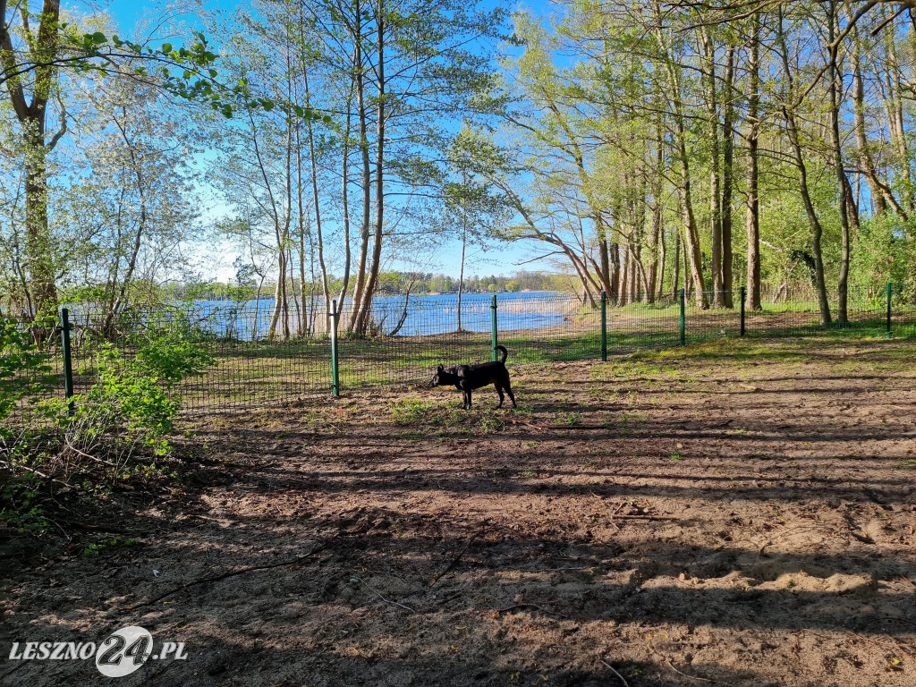 Plaża z wybiegiem dla psów w Boszkowie