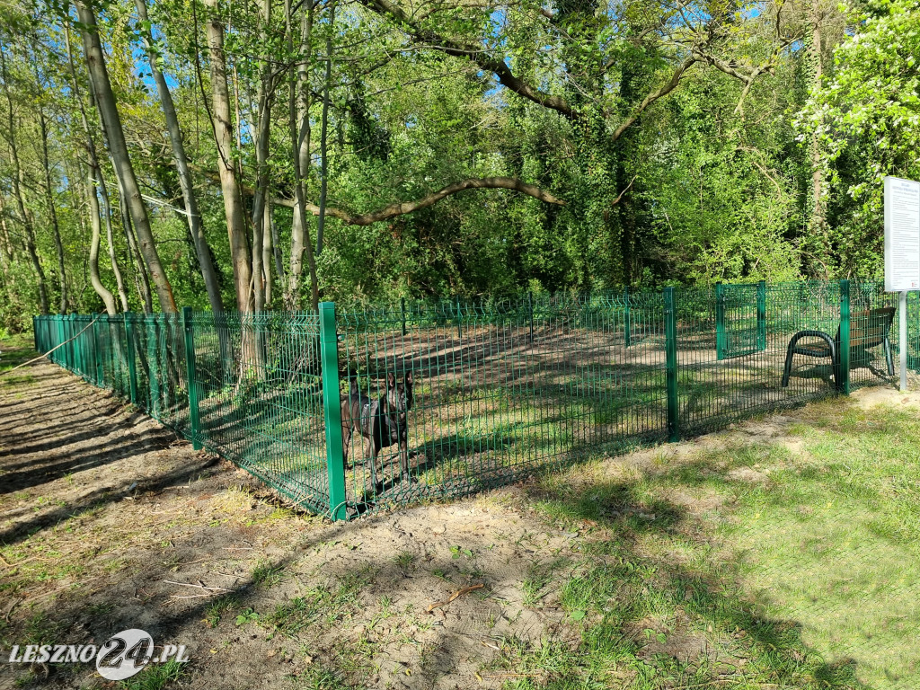 Plaża z wybiegiem dla psów w Boszkowie