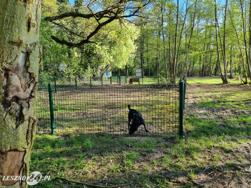 Plaża z wybiegiem dla psów w Boszkowie