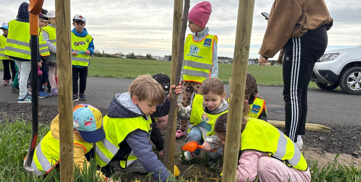 Sadzenie drzew przy ul. Trojanowskiego w Lesznie