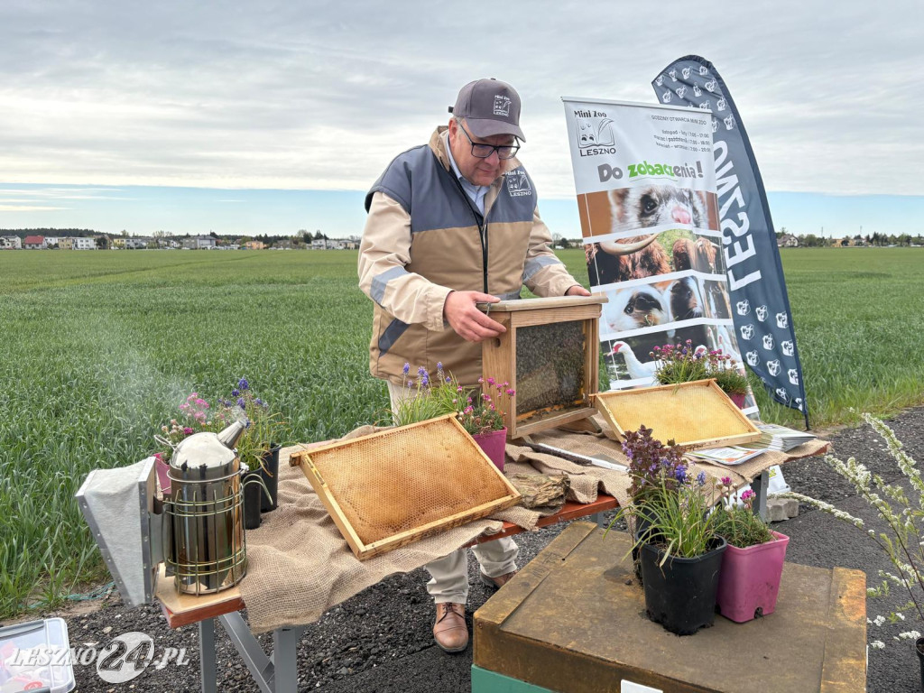 Sadzenie drzew przy ul. Trojanowskiego w Lesznie