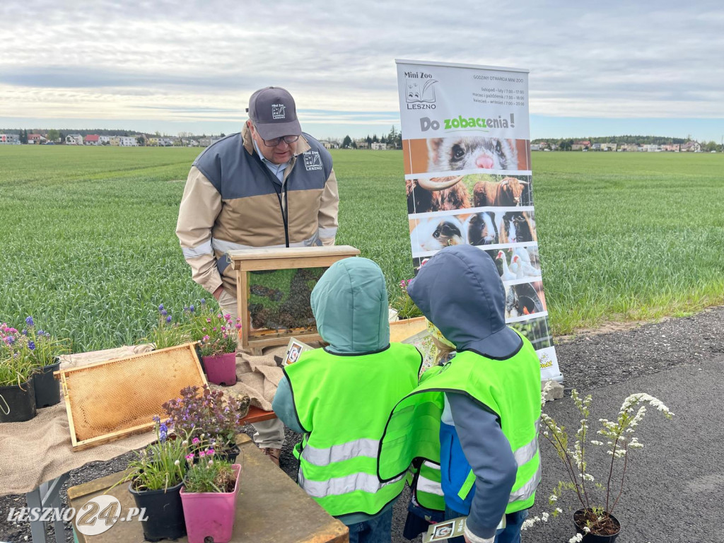 Sadzenie drzew przy ul. Trojanowskiego w Lesznie
