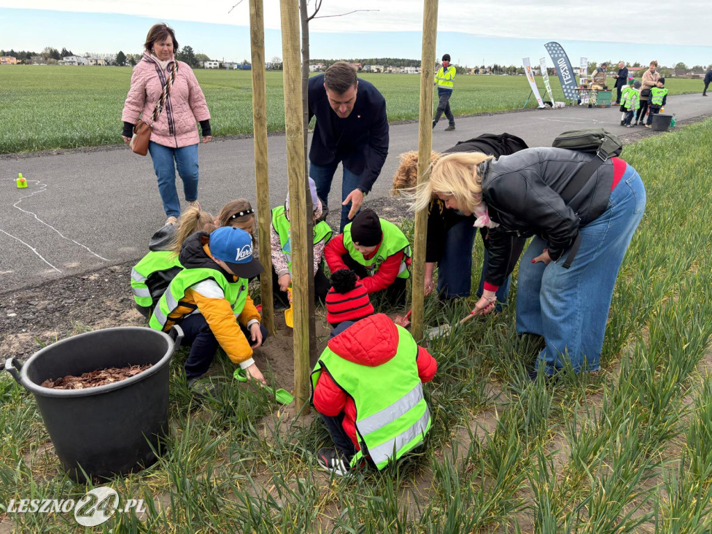Sadzenie drzew przy ul. Trojanowskiego w Lesznie