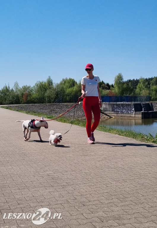 Bieg Flagi w Rydzynie