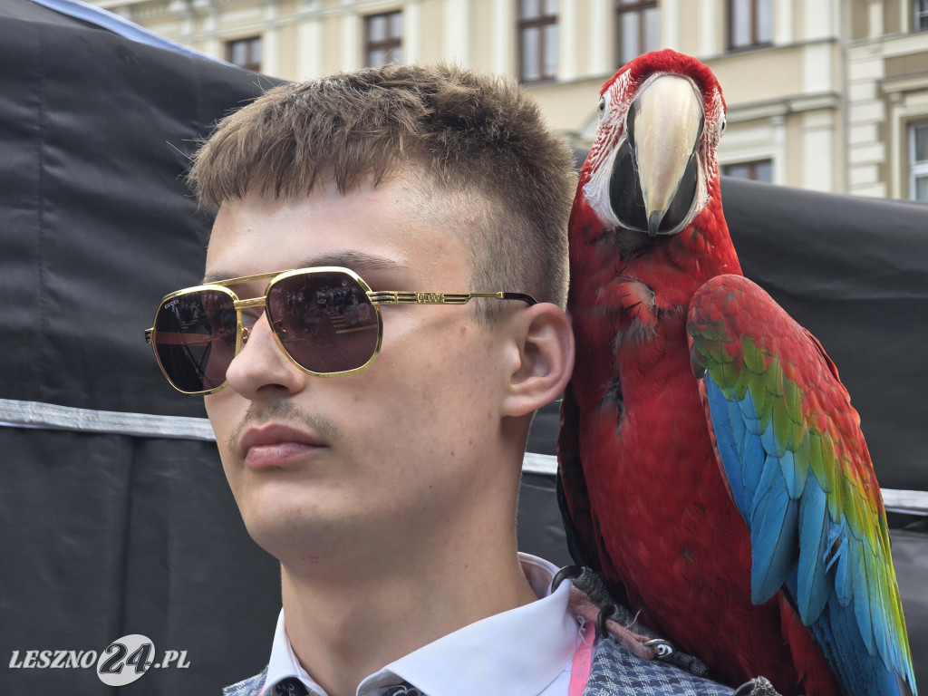 Dni Leszna 2026. Sobota na Rynku