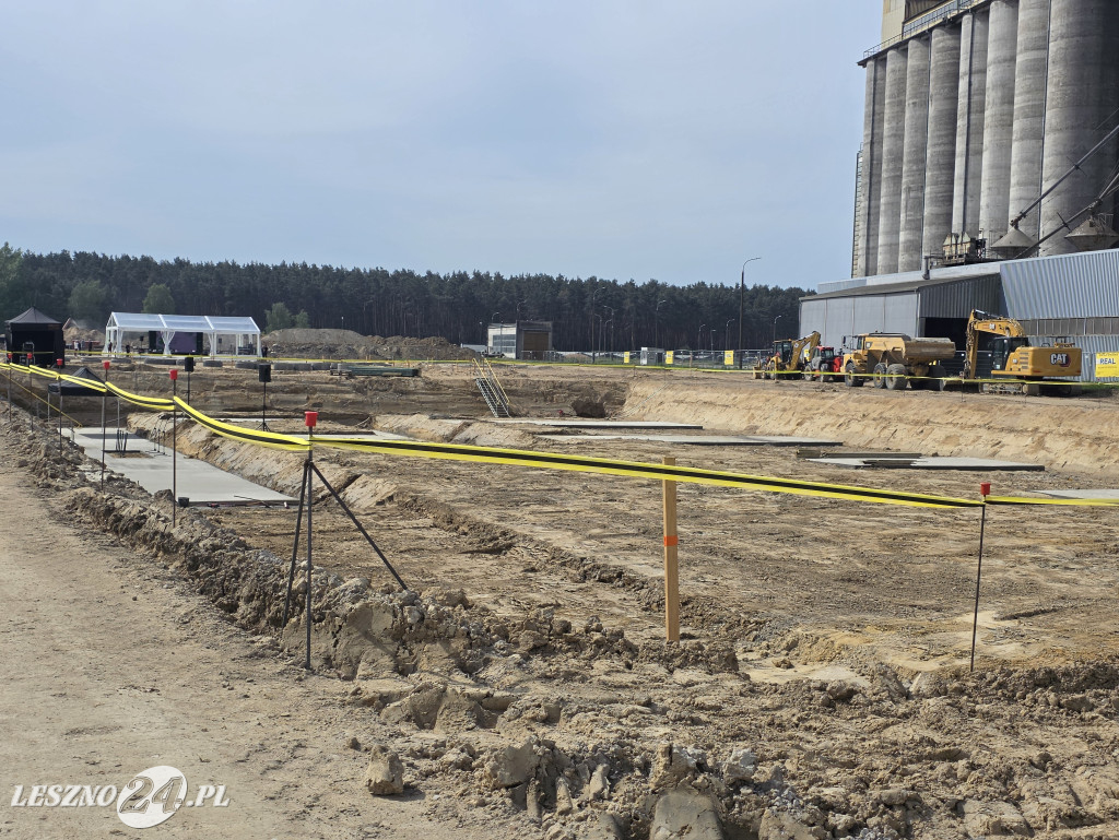Estoria Plant - nowa tłocznia oleju w Lasocicach
