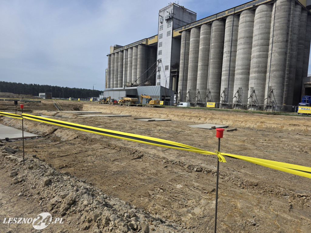Estoria Plant - nowa tłocznia oleju w Lasocicach