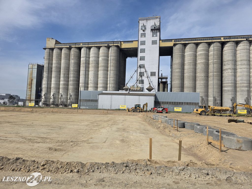 Estoria Plant - nowa tłocznia oleju w Lasocicach