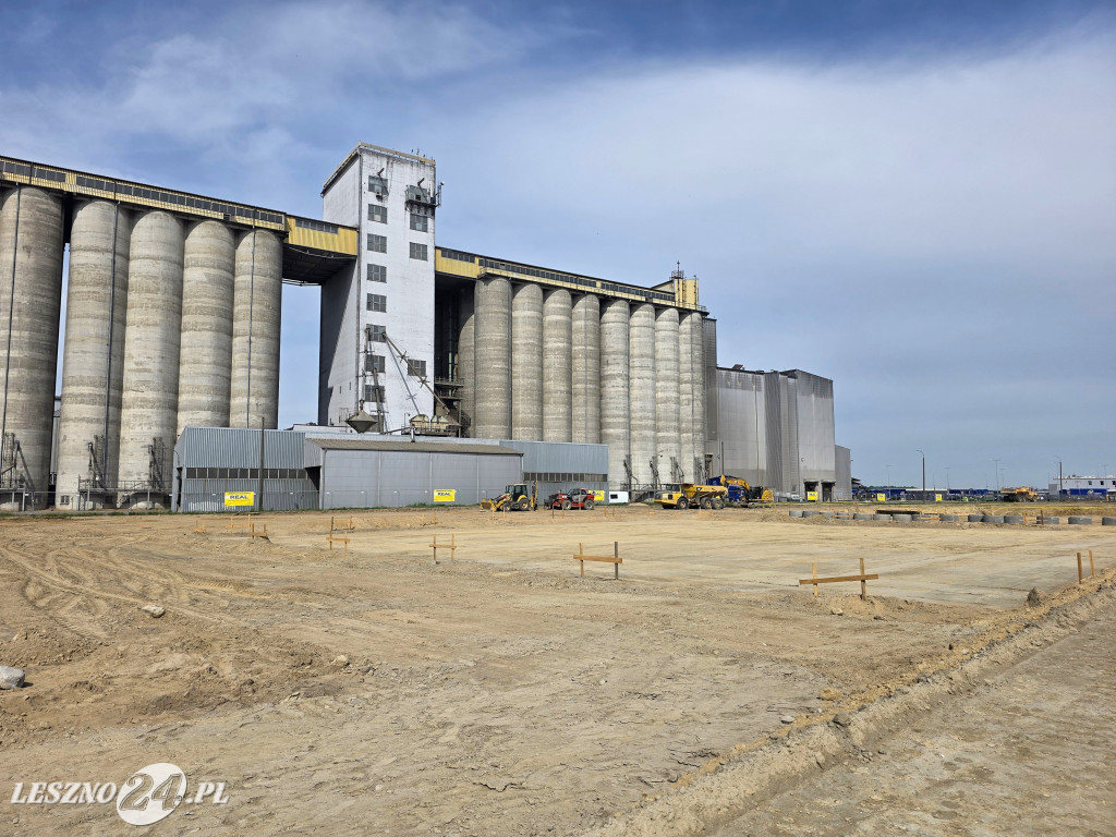 Estoria Plant - nowa tłocznia oleju w Lasocicach