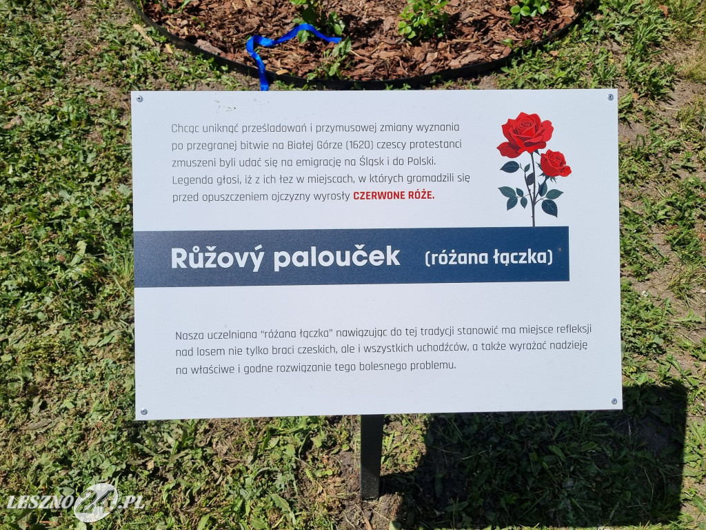 Dni Patrona ANS Leszno