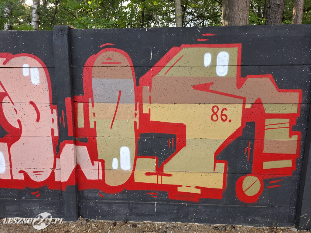 Najdłuższe uliczne malowidło w Lesznie