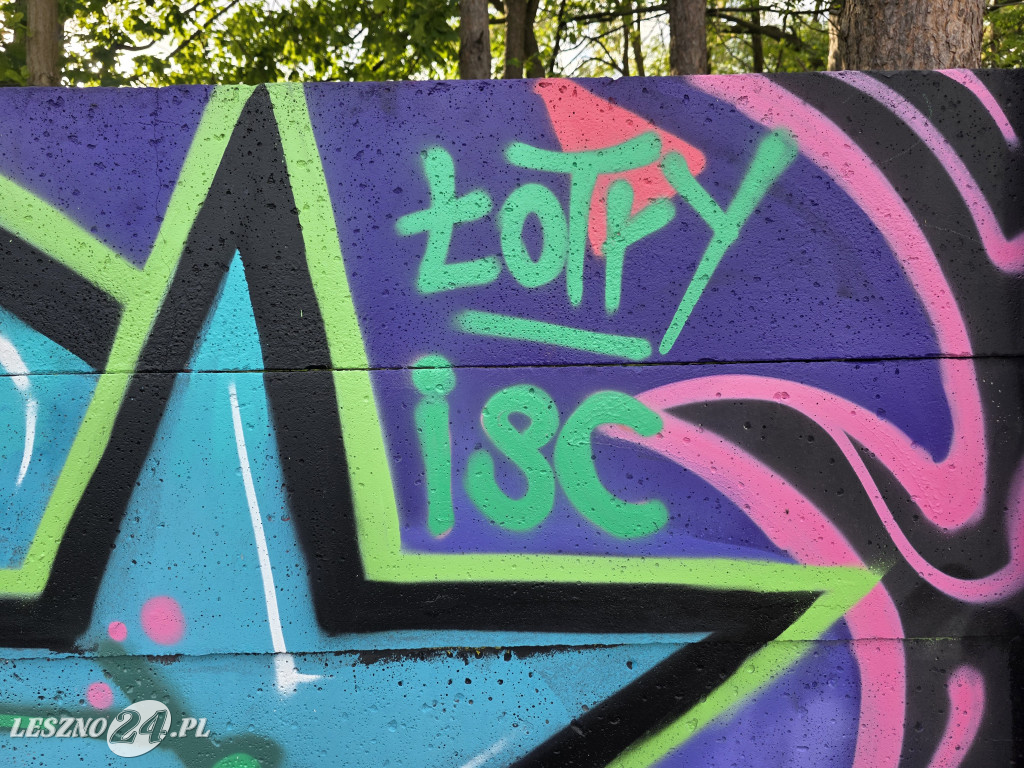 Najdłuższe uliczne malowidło w Lesznie