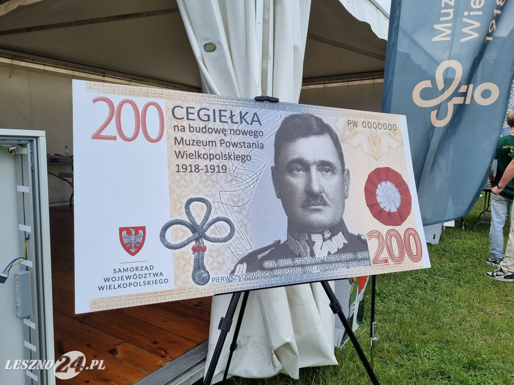 Piknik na FEST w Lesznie