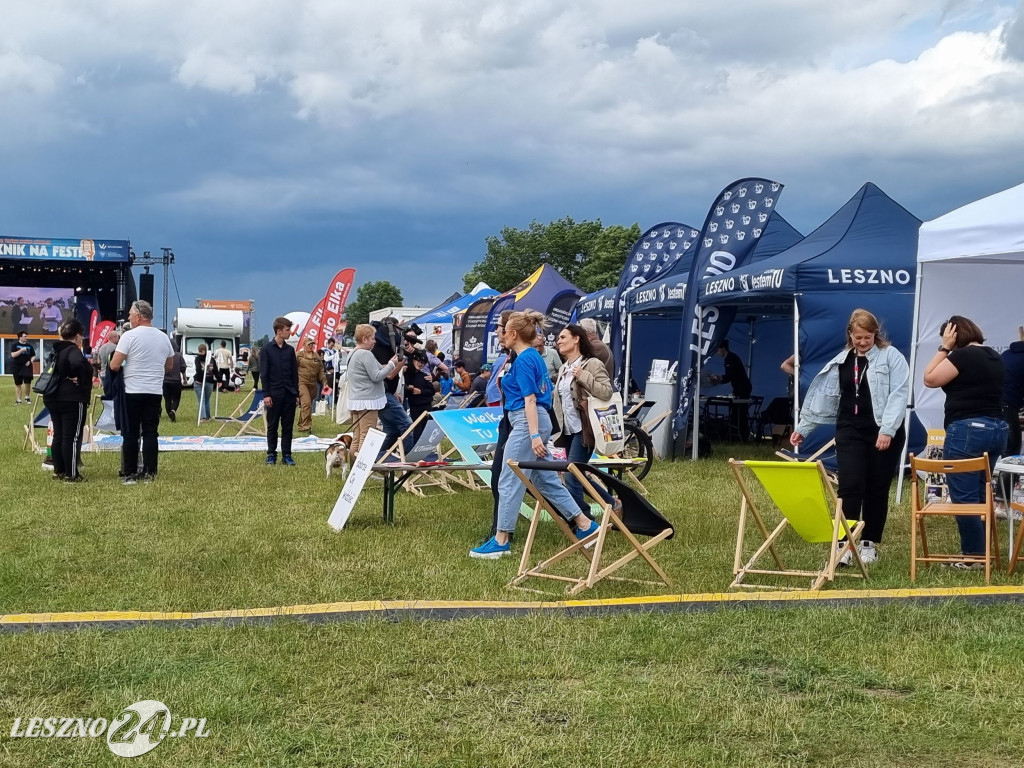 Piknik na FEST w Lesznie