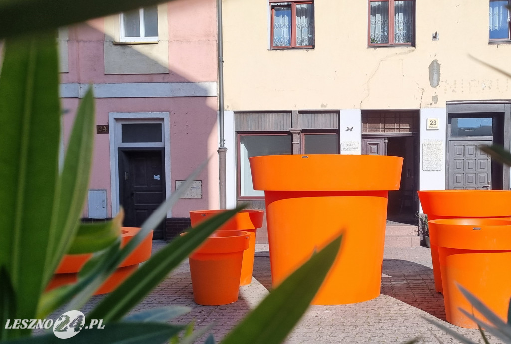 Wielkie donice przy ul. Wolności w Lesznie
