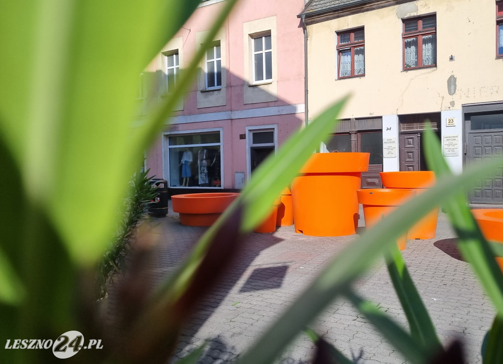 Wielkie donice przy ul. Wolności w Lesznie