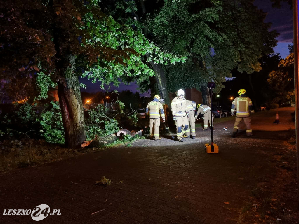 Drzewo runęło przy ul. Sułkowskiego w Lesznie