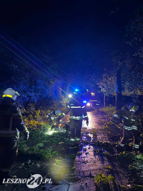 Drzewo przygniotło 15-latka