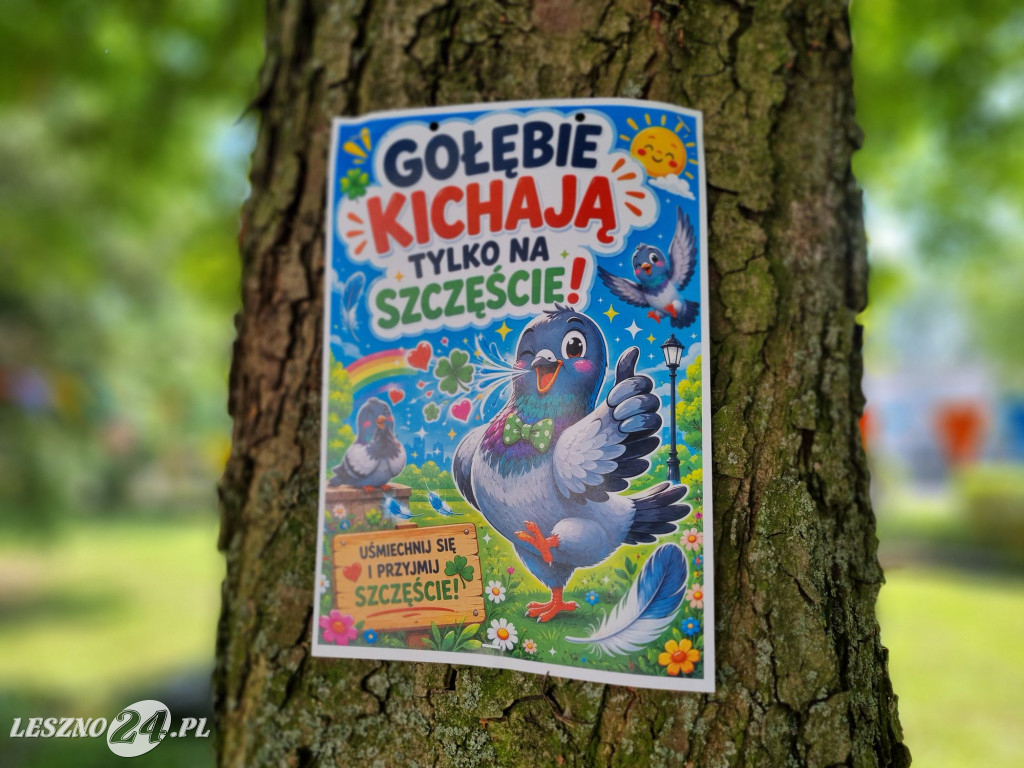 Piknik w Domu Seniora w Lesznie